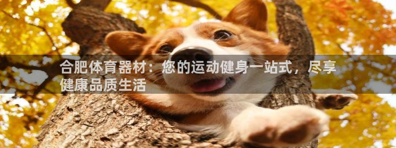 富联娱乐官方网站下载安卓:合肥体育器材:您的运动健身一站式,