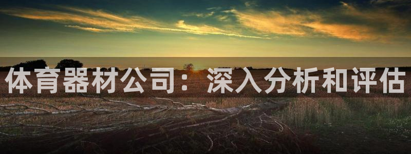 富联包装电话是多少:体育器材公司:深入分析和评估