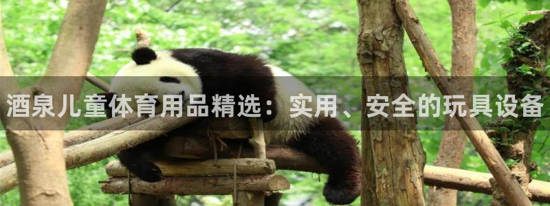 富联娱乐军7O777:酒泉儿童体育用品精选:实用、安全的玩具