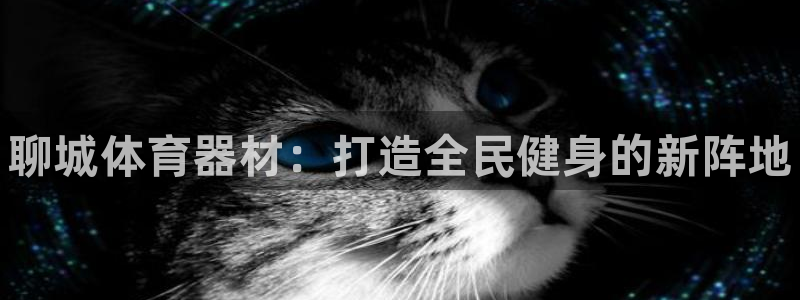 中国富联股票行情:聊城体育器材:打造全民健身的新阵地