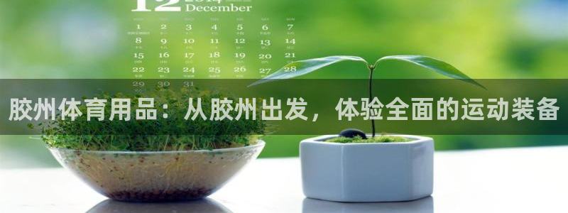 富联商城:胶州体育用品:从胶州出发,体验全面的运动装备